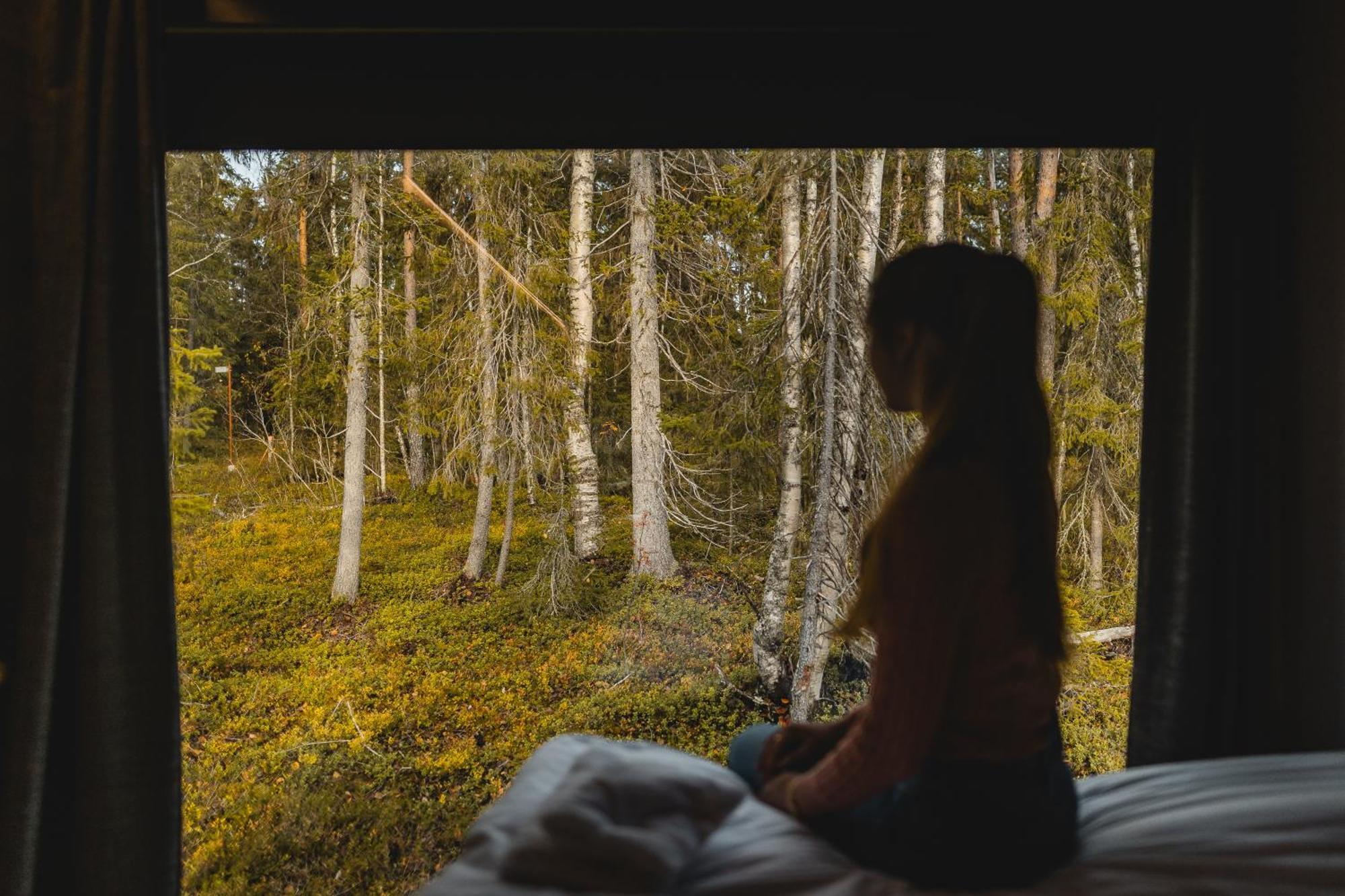 Vaattunki Wilderness Resort Ροβανιέμι Εξωτερικό φωτογραφία
